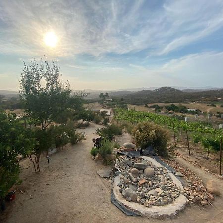 Chalet Nativo - Fabulous Terrace & Vineyard Valle de Guadalupe Kültér fotó