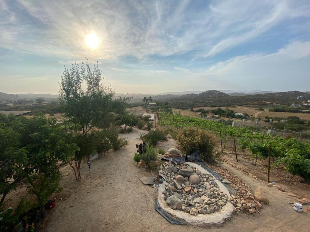 Chalet Nativo - Fabulous Terrace & Vineyard Valle de Guadalupe Kültér fotó